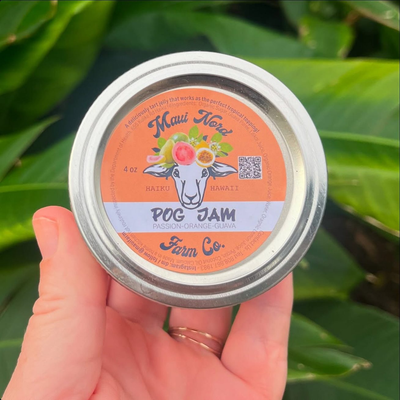 A hand holding a jar of POG jam against green leaves.